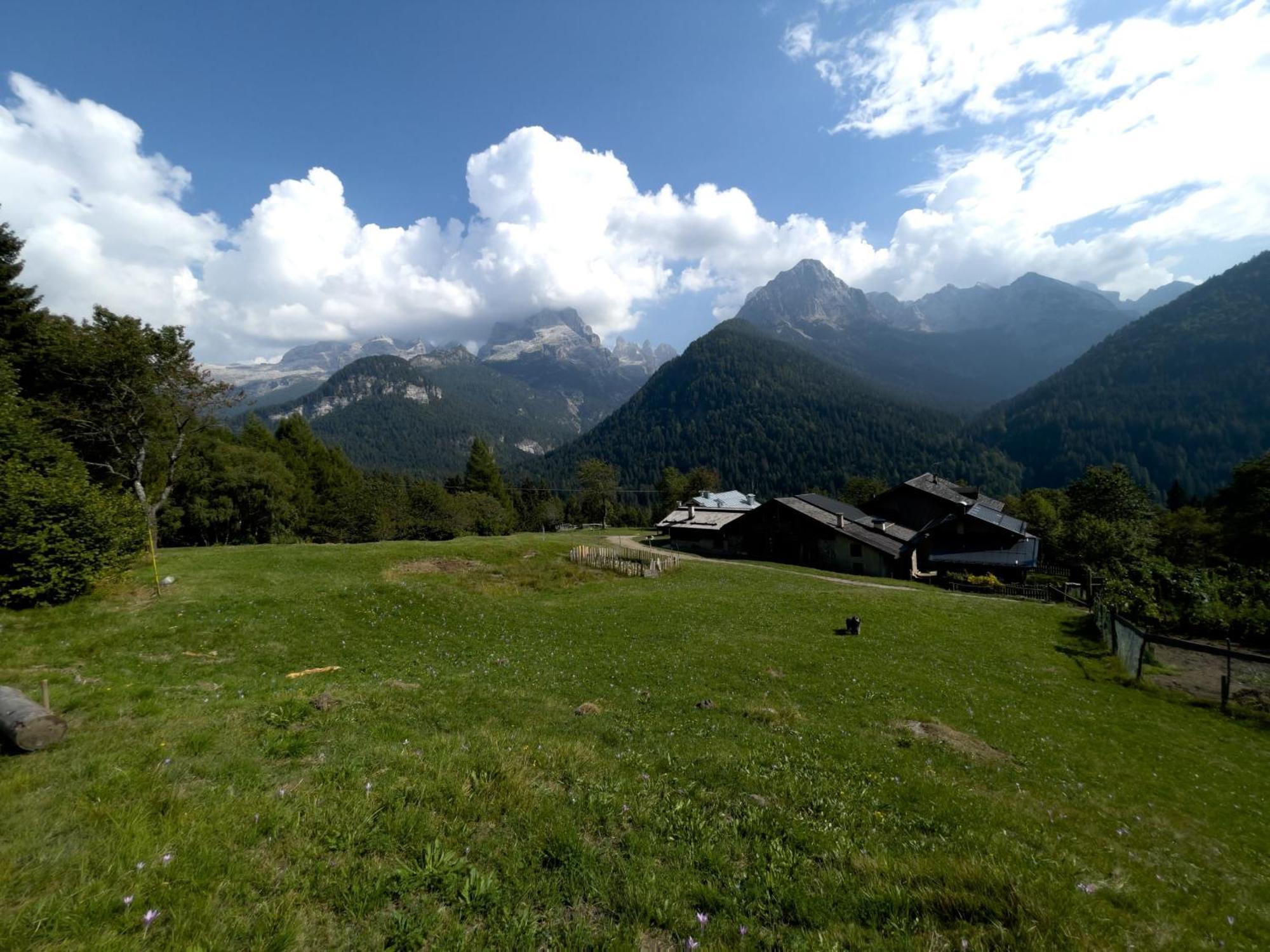 Villa Alpina Campiglio Madonna di Campiglio Exterior foto
