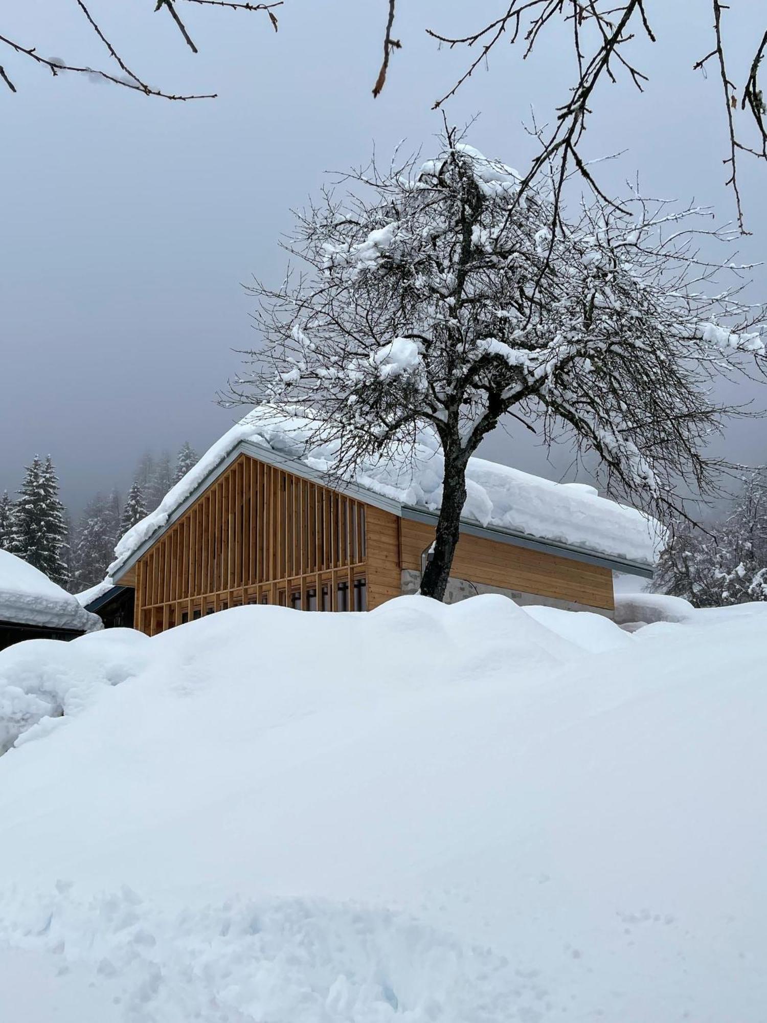 Villa Alpina Campiglio Madonna di Campiglio Exterior foto